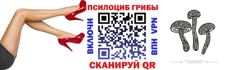 Галлюциногенные грибы мицелий  Порхов 